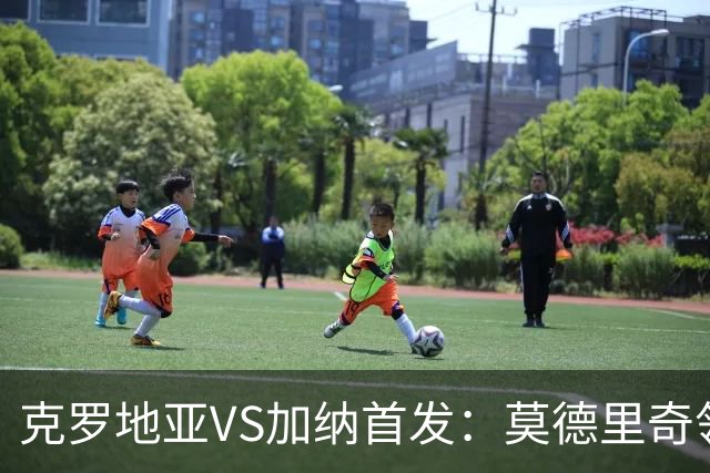 克罗地亚VS加纳首发：莫德里奇领军 佩里西奇科瓦契奇