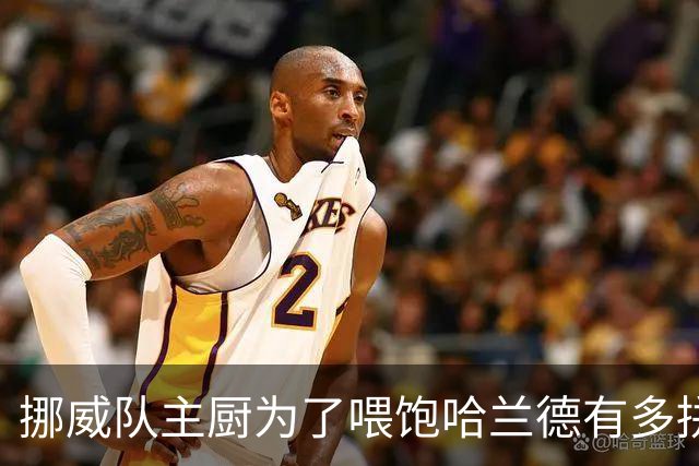 挪威队主厨为了喂饱哈兰德有多拼？他每天要补充6000卡路里热量，进入淘汰赛后球队紧急订购食材